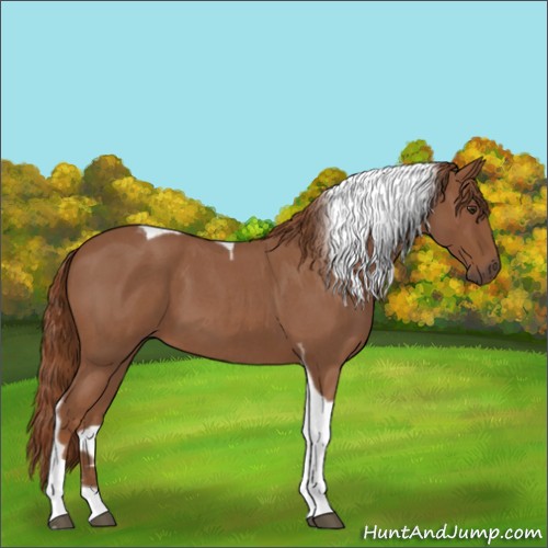 Horse Color:Red Roan Tobiano 