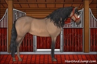 Horse Color:Bay Dun