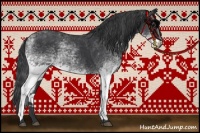 Horse Color:White Spotted Black