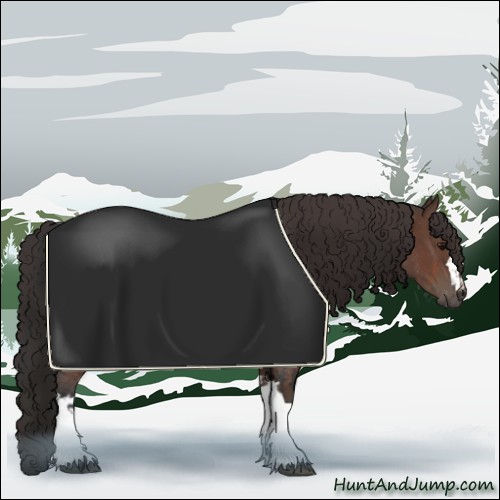 Horse Color:Bay Rabicano and Bay Rabicano