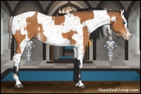 Horse Color:Bay Frame  and Bay Frame Leopard 