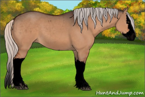 Horse Color:Void Silver Brown Dun Splash
