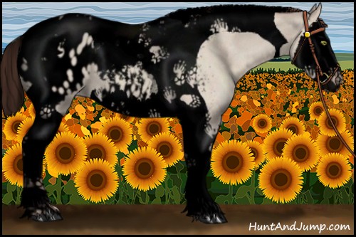 Horse Color:Void Sable Champagne Dun Splash Tobiano Appaloosa 