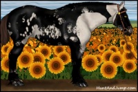 Horse Color:Void Sable Champagne Dun Splash Tobiano Blanket 