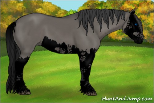 Horse Color:Void Grullo Splash