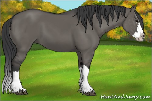 Horse Color:Grullo Sabino Splash