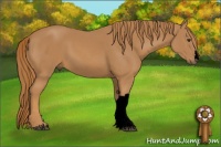 Horse Color:Void Chestnut 