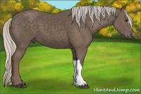 Horse Color:Silver Black 