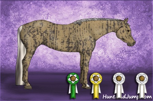 Horse Color:Smoky Black and Silver Smoky Black