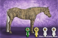 Horse Color:Smoky Black and Silver Smoky Black