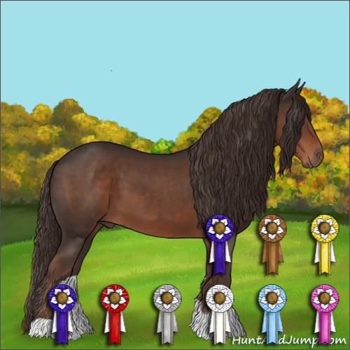 Horse Color:Liver Chestnut 