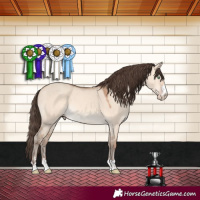 Horse Color:Amber Champagne Dun 