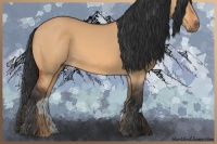 Horse Color:Bay Dun 