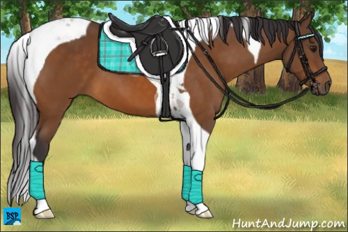 Horse Color:Buckskin Tobiano 