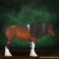 Horse Color:Buckskin Tobiano