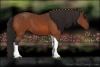 Horse Color:Buckskin Tobiano 