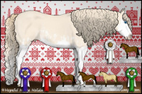 Horse Color:Perlino Splash and Perlino Splash