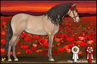 Horse Color:Amber Champagne