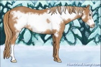 Horse Color:Chestnut Frame