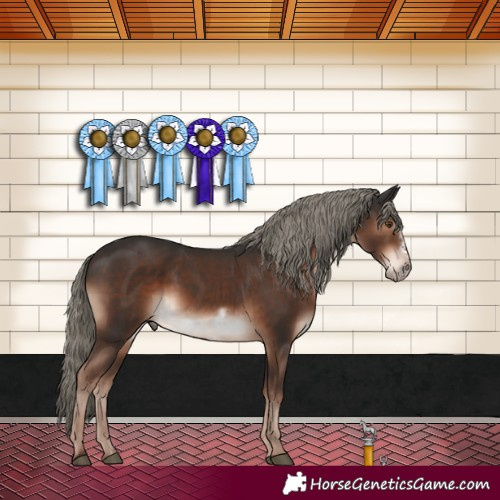 Horse Color:Liver Chestnut Mushroom Frame 