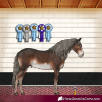 Horse Color:Liver Chestnut Mushroom Frame 