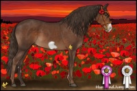 Horse Color:Liver Chestnut Frame 