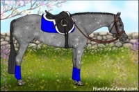 Horse Color:Blue Roan 