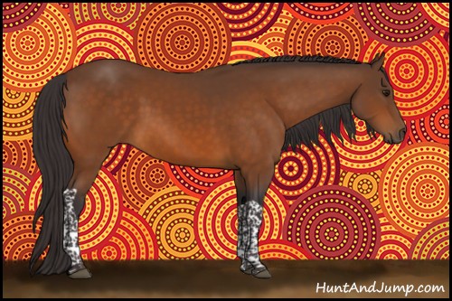 Horse Color:Buckskin Tobiano