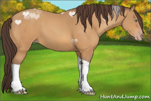 Horse Color:Sable Cream Champagne Tobiano 