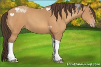 Horse Color:Sable Cream Champagne Tobiano 