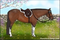 Horse Color:Buckskin Tobiano 