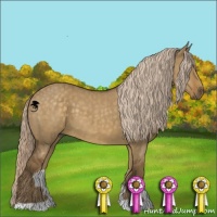 Horse Color:Chocolate Palomino Dun Brindle 