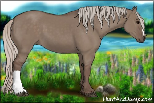 Horse Color:Silver Grullo 