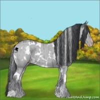 Horse Color:White Spotted Classic Champagne Chinchilla Dun Brindle 