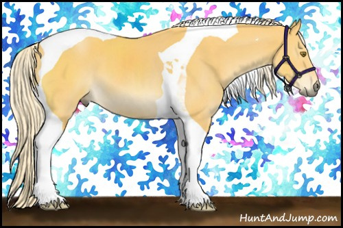 Horse Color:Palomino Tobiano 