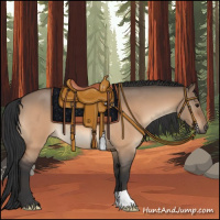 Horse Color:Bay Roan Dun Rabicano 