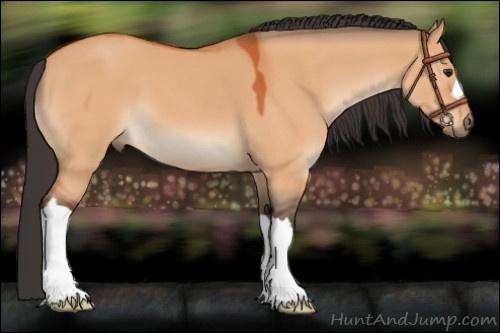 Horse Color:Bay Dun
