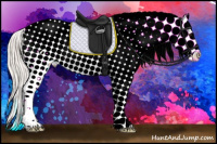 Horse Color:Silver Bay Dun Sabino Splash Frame Appaloosa 