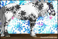 Horse Color:Black Splash Tobiano