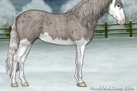 Horse Color:Silver Blue Roan Splash 