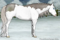 Horse Color:Silver Blue Roan Splash 