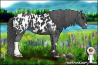 Horse Color:Black Appaloosa  and Black Appaloosa 
