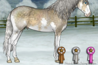 Horse Color:Silver Smoky Blue Roan Splash 