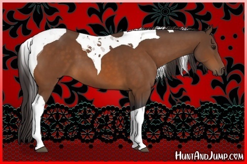 Horse Color:Buckskin Tobiano 