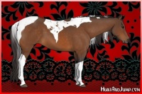 Horse Color:Buckskin Tobiano 