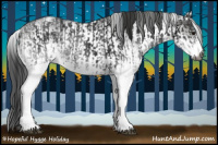 Horse Color:Gray White Spotted Black  and Gray White Spotted Black 