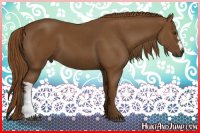 Horse Color:Gray Chestnut 