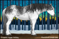 Horse Color:Gray White Spotted Black  and White Spotted Black 