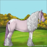 Horse Color:Watercolor Red Dun Tobiano 