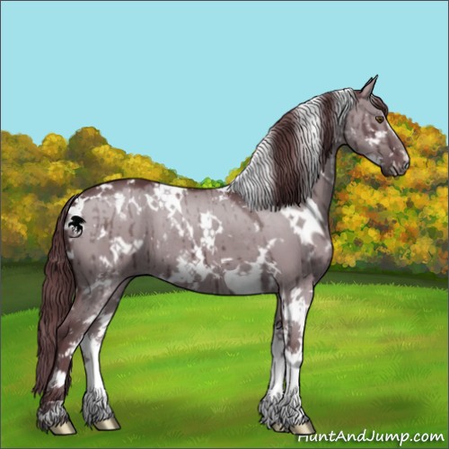 Horse Color:White Spotted Chocolate Grullo Chinchilla Sabino 